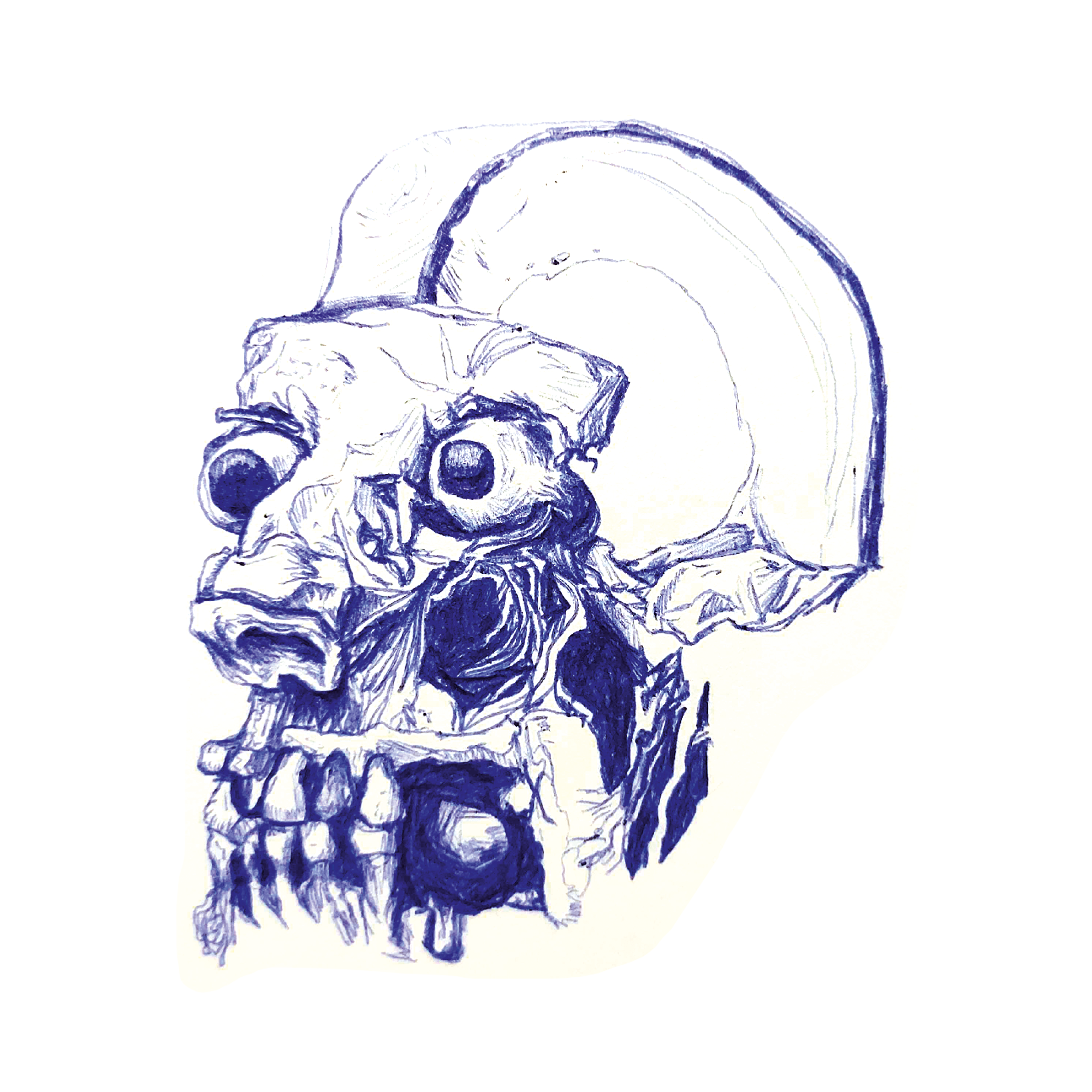 Illustration